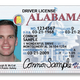 Illustration for article titled No, Real ID Is Not a National ID Card
